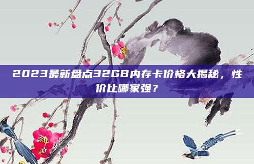 2023最新盘点32GB内存卡价格大揭秘，性价比哪家强？