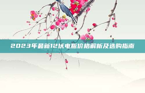 2023年最新12伏电瓶价格解析及选购指南