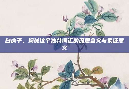 白房子，揭秘这个独特词汇的深层含义与象征意义