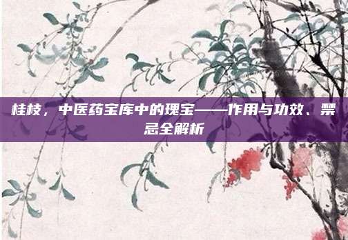 桂枝，中医药宝库中的瑰宝——作用与功效、禁忌全解析