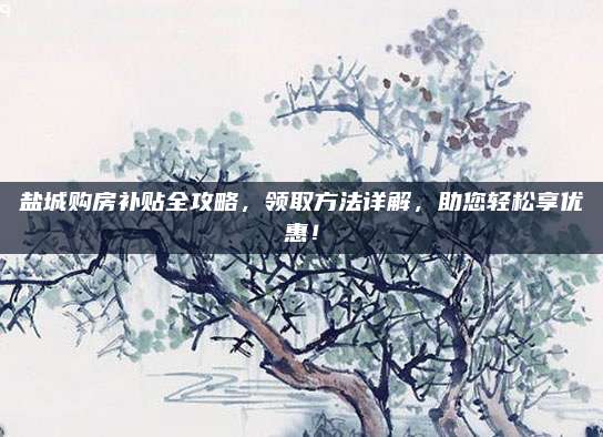 盐城购房补贴全攻略，领取方法详解，助您轻松享优惠！