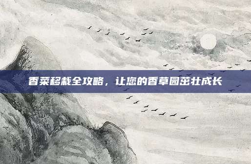 香菜移栽全攻略，让您的香草园茁壮成长