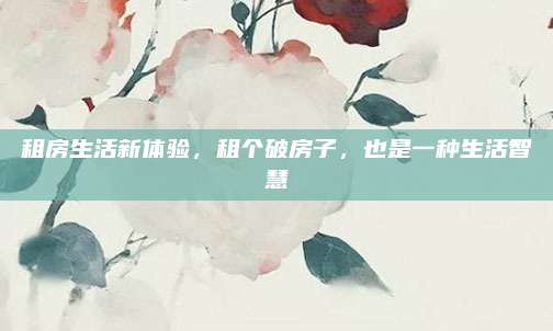 租房生活新体验，租个破房子，也是一种生活智慧