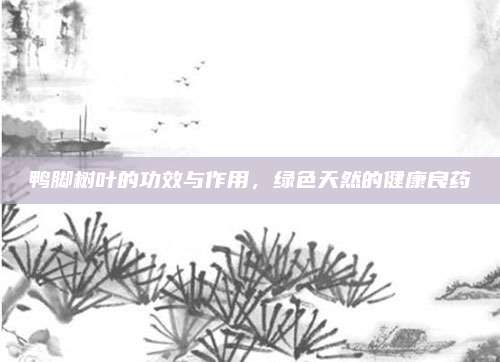 鸭脚树叶的功效与作用，绿色天然的健康良药