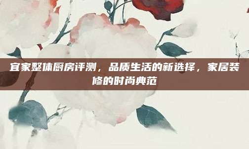 宜家整体厨房评测，品质生活的新选择，家居装修的时尚典范