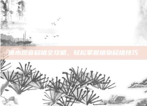 滴水观音移植全攻略，轻松掌握植物移植技巧