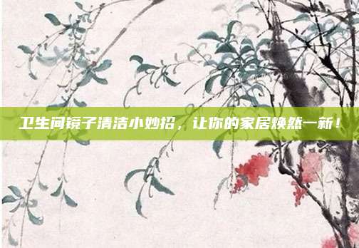 卫生间镜子清洁小妙招，让你的家居焕然一新！
