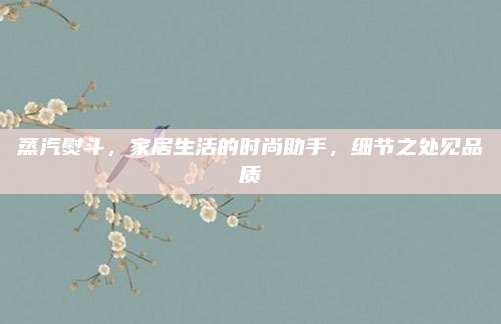 蒸汽熨斗，家居生活的时尚助手，细节之处见品质
