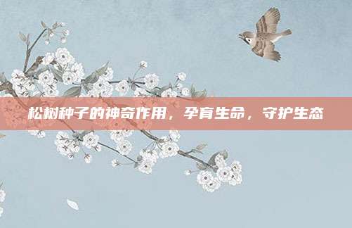 松树种子的神奇作用，孕育生命，守护生态