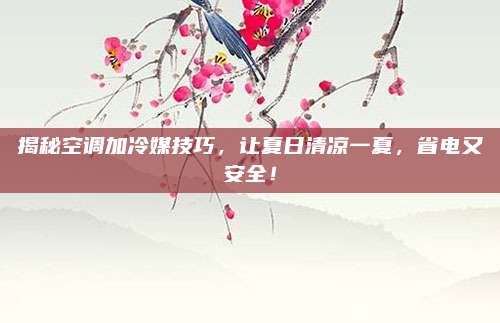 揭秘空调加冷媒技巧，让夏日清凉一夏，省电又安全！
