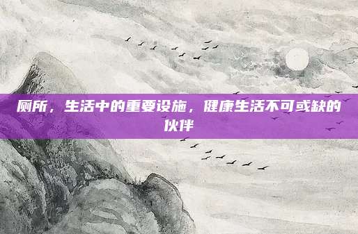 厕所，生活中的重要设施，健康生活不可或缺的伙伴