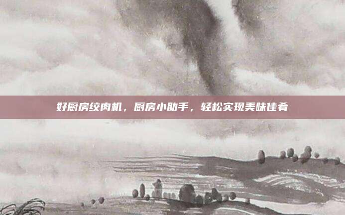 好厨房绞肉机，厨房小助手，轻松实现美味佳肴
