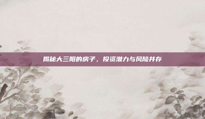 揭秘大三阳的房子，投资潜力与风险并存