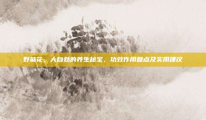野菊花，大自然的养生秘宝，功效作用盘点及实用建议