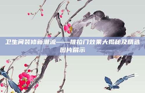 卫生间装修新潮流——推拉门效果大揭秘及精选图片展示