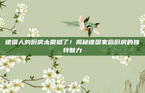 德国人的厨房太震撼了！揭秘德国家庭厨房的独特魅力