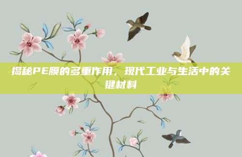 揭秘PE膜的多重作用，现代工业与生活中的关键材料