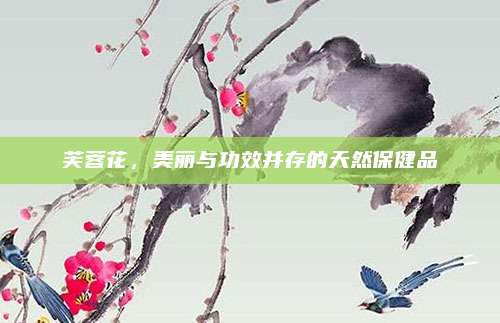 芙蓉花，美丽与功效并存的天然保健品