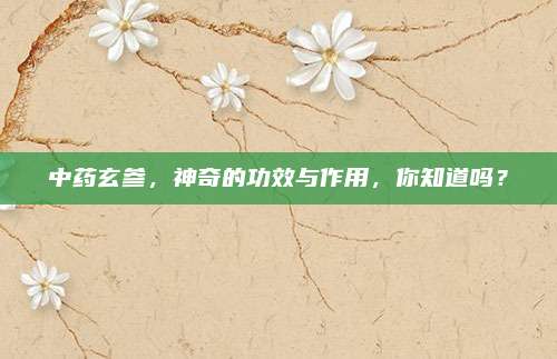 中药玄参，神奇的功效与作用，你知道吗？