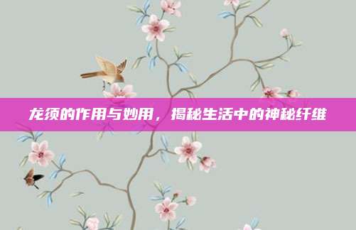 龙须的作用与妙用，揭秘生活中的神秘纤维