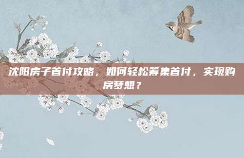 沈阳房子首付攻略，如何轻松筹集首付，实现购房梦想？