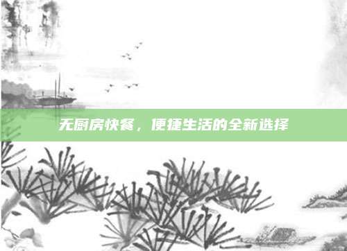 无厨房快餐，便捷生活的全新选择
