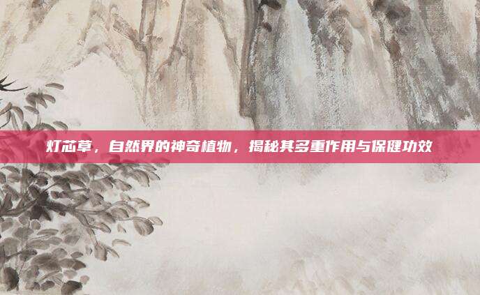灯芯草，自然界的神奇植物，揭秘其多重作用与保健功效