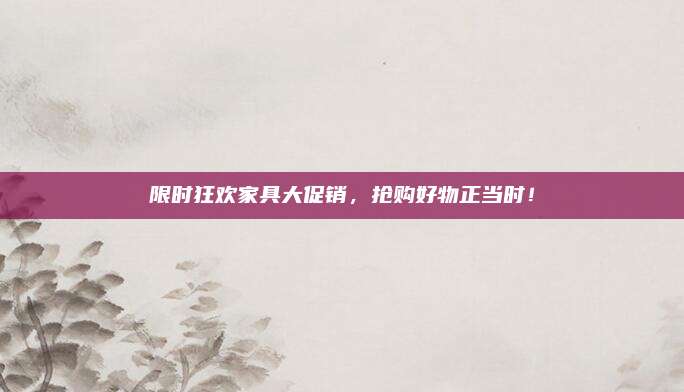限时狂欢家具大促销，抢购好物正当时！