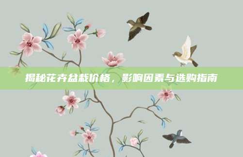 揭秘花卉盆栽价格，影响因素与选购指南