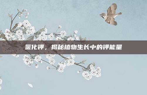 氯化钾，揭秘植物生长中的钾能量