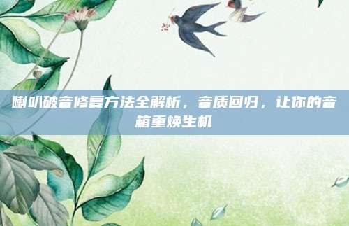 喇叭破音修复方法全解析，音质回归，让你的音箱重焕生机