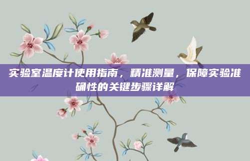 实验室温度计使用指南，精准测量，保障实验准确性的关键步骤详解