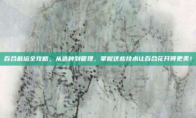 百合栽培全攻略，从选种到管理，掌握这些技术让百合花开得更美！
