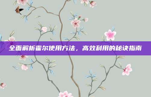 全面解析霍尔使用方法，高效利用的秘诀指南