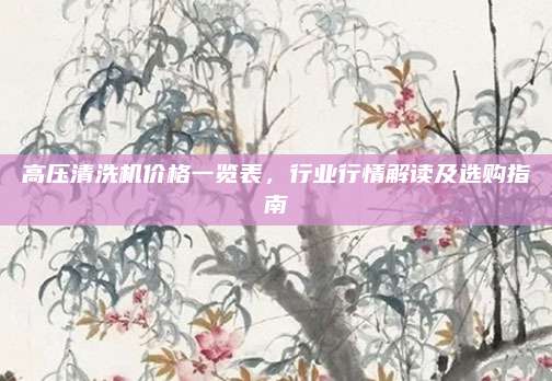 高压清洗机价格一览表，行业行情解读及选购指南