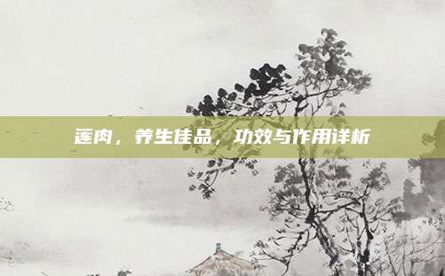 莲肉，养生佳品，功效与作用详析