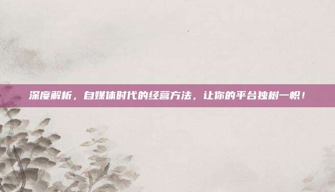 深度解析，自媒体时代的经营方法，让你的平台独树一帜！