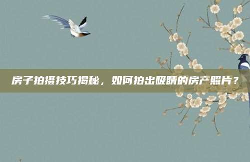 房子拍摄技巧揭秘，如何拍出吸睛的房产照片？