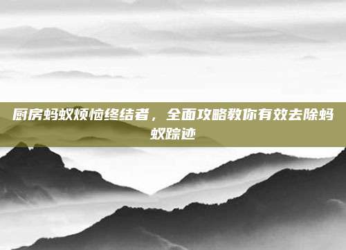 厨房蚂蚁烦恼终结者，全面攻略教你有效去除蚂蚁踪迹