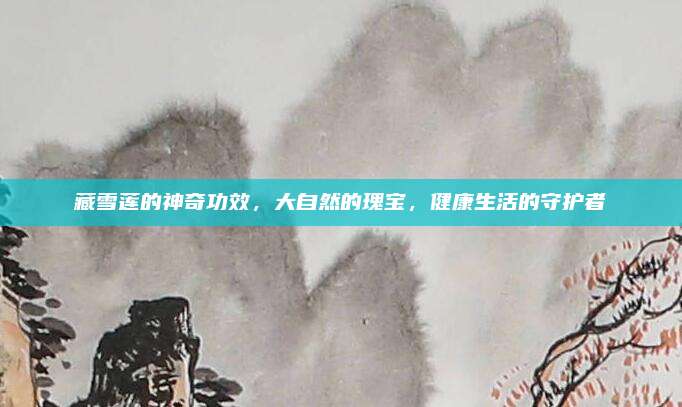 藏雪莲的神奇功效，大自然的瑰宝，健康生活的守护者