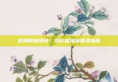 告别螨虫烦恼！羽绒被深度清洗指南