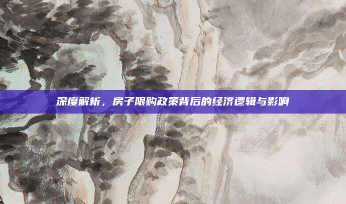 深度解析，房子限购政策背后的经济逻辑与影响