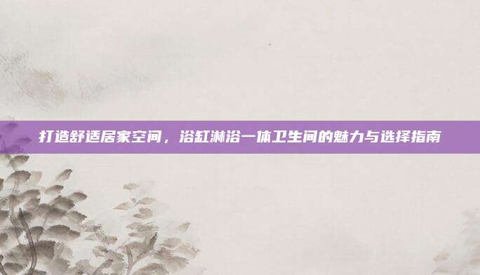 打造舒适居家空间，浴缸淋浴一体卫生间的魅力与选择指南