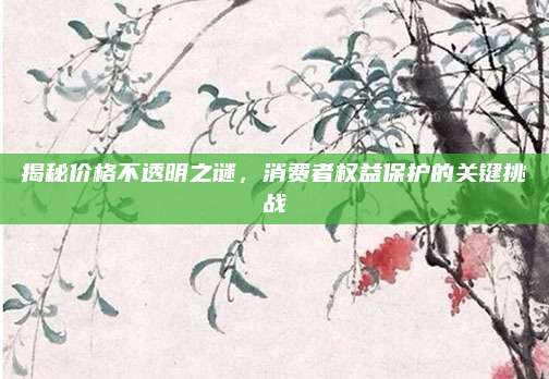 揭秘价格不透明之谜，消费者权益保护的关键挑战