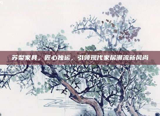 苏梨家具，匠心独运，引领现代家居潮流新风尚