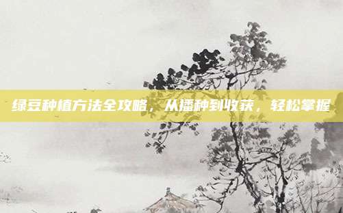 绿豆种植方法全攻略，从播种到收获，轻松掌握