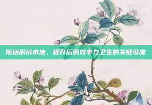 饭店厨房水池，提升后厨效率与卫生的关键设施
