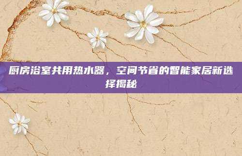 厨房浴室共用热水器，空间节省的智能家居新选择揭秘