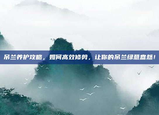 吊兰养护攻略，如何高效修剪，让你的吊兰绿意盎然！