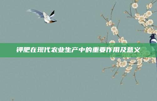 钾肥在现代农业生产中的重要作用及意义